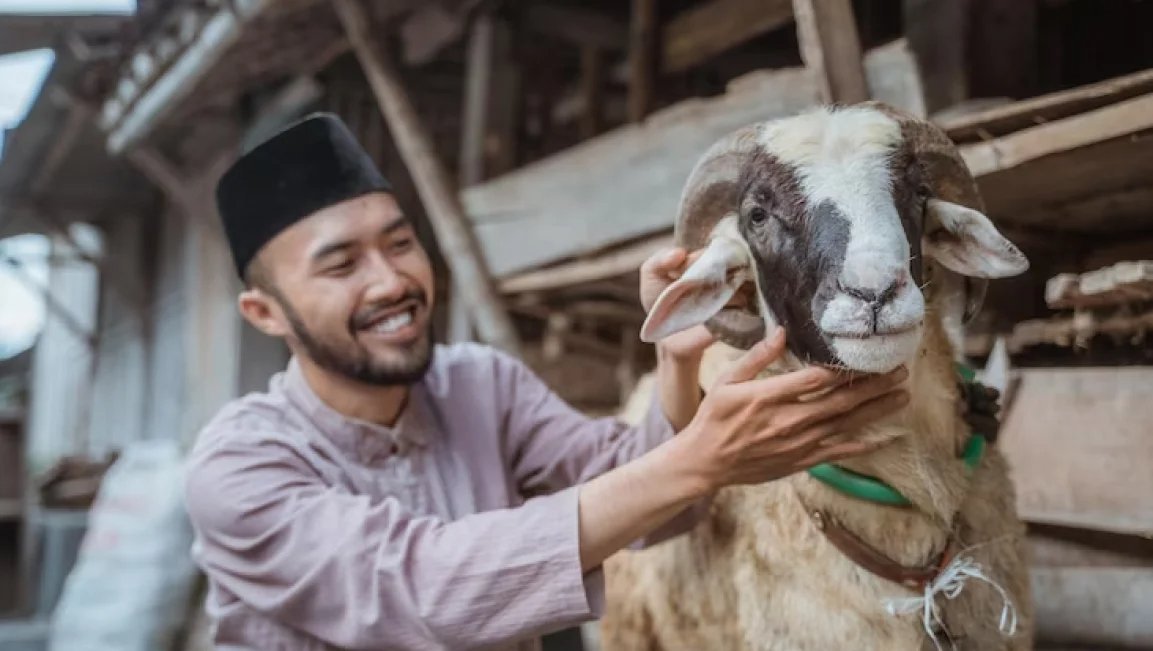 Kurban Satu Kambing untuk Satu Keluarga: Bagaimana Hukumnya?